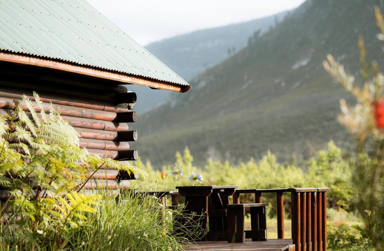Tsitsikamma alojamiento y spa Stormsrivier Exterior foto