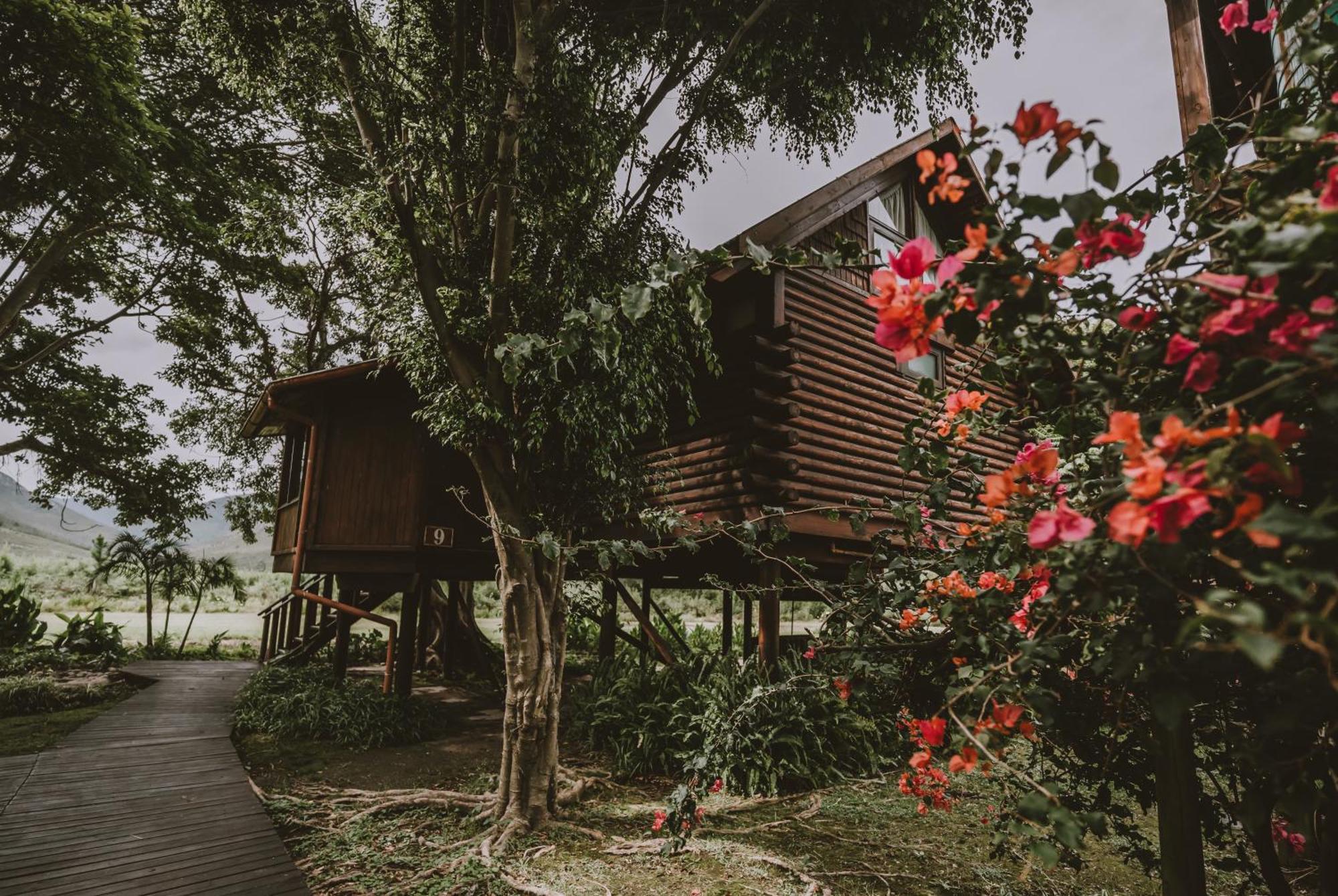 Tsitsikamma alojamiento y spa Stormsrivier Exterior foto