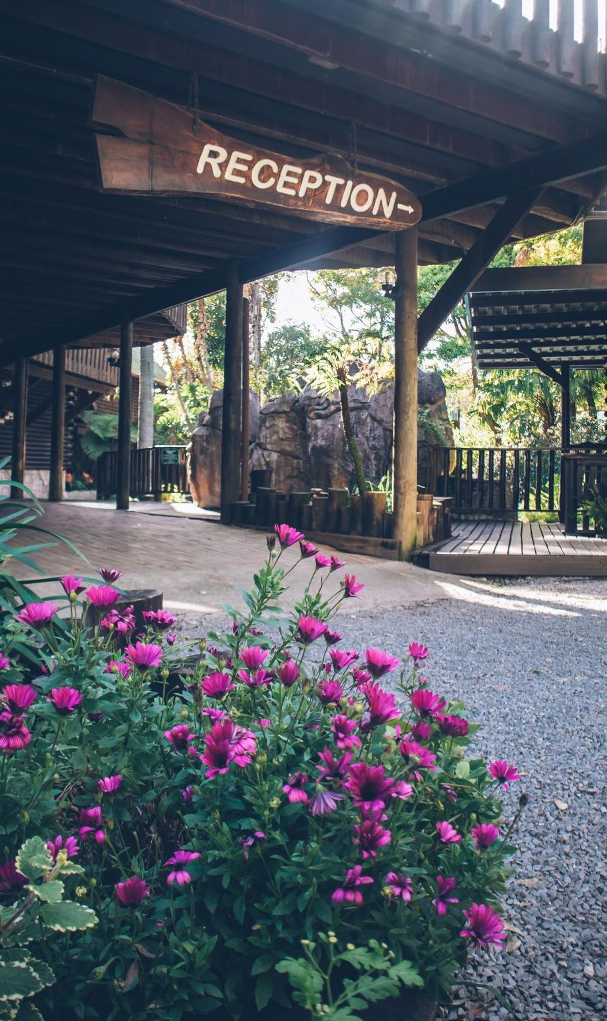 Tsitsikamma alojamiento y spa Stormsrivier Exterior foto